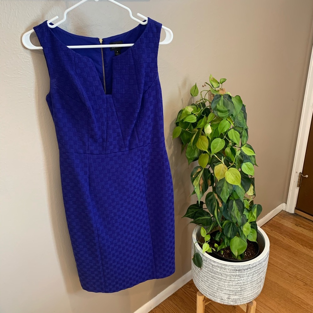 🥰 $10 - Gorgeous Royal Blue Work Dress